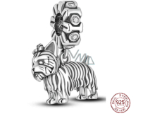 Charm Sterling Silver 925 Dog - Yorkshire Terrier - Yorkie, Animal Bracelet Pendant