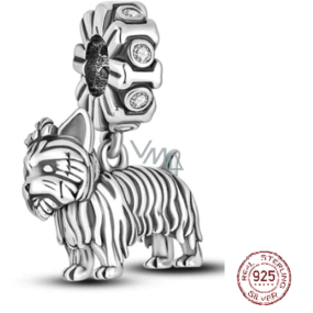 Charm Sterling Silver 925 Dog - Yorkshire Terrier - Yorkie, Animal Bracelet Pendant