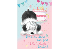 Ditipo Playing Birthday Card Why is that dog looking at you today? Lucie Vondráčková Foreign dog 224 x 157 mm