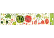 Window film Fruit melon 64 x 15 cm