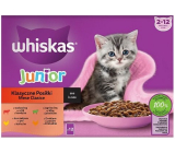 Whiskas Junior classic dishes in juice beef, chicken, lamb, poultry pockets in juice 12 x 85 g