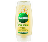 Radox Caress Chamomile and Honey Shower Gel 225 ml