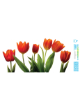 Arch Year-round sticker, window film without adhesive Red tulip strip 35 x 16 cm