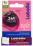 Labello Blackberry tinted lip balm 4,8 g