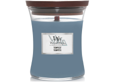 WoodWick Tempest - Storm scented candle with wooden wick and lid glass medium 275 g