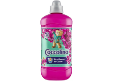 Coccolino Creations Snapdragon & Patchouli concentrated fabric softener 51 doses 1,275 l