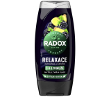 Radox Men 3in1 Relaxation Blackberry and ginger shower gel for men 225 ml