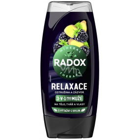 Radox Men 3in1 Relaxation Blackberry and ginger shower gel for men 225 ml