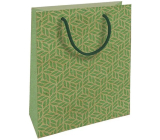 Nekupto Gift kraft bag 18,7 x 24,3 x 8 cm Green graphic