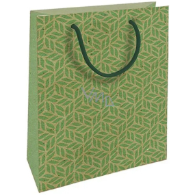 Nekupto Gift kraft bag 18,7 x 24,3 x 8 cm Green graphic