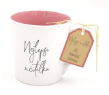 Nekupto Original Name mug Best teacher 300 ml