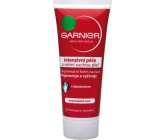 Garnier Skin Naturals Regenerating Care Hand Cream for Cracked Hands 100 ml