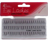 Absolute Cosmetics Eye Lashes Long False Cluster Lashes 14110-L Black 60 Clusters