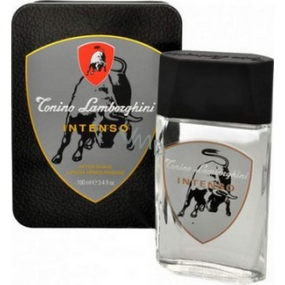 Tonino Lamborghini Intenso After Shave 100 ml