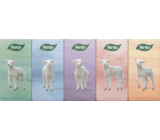 This Chic&Style 3-ply tissue pack, 10 pieces