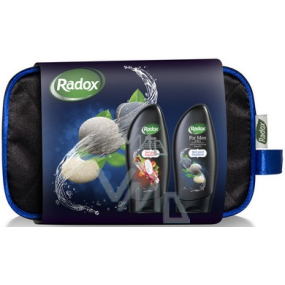 Radox Charismatic for Men and Noire shower gels 250 ml + bag, cosmetic set for men