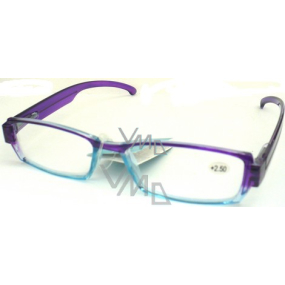 Berkeley Reading glasses +2 MC 2076 violet-blue CB02 1 piece MC2076