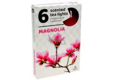 Tea Lights Magnolia scented tea lights 6 pieces