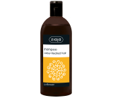 Ziaja Sunflower with sunflower extract shampoo for colored hair 500 ml