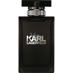 Karl Lagerfeld pour Homme EdT 100 ml Eau de Toilette