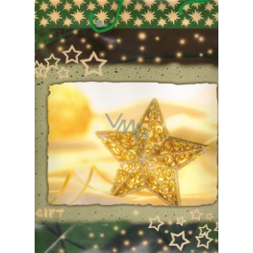 Nekupto Gift paper bag with glitter 32.5 x 26 x 13 cm Star 1 piece 508 01