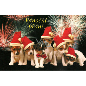 Nekupto Greeting Card Christmas Dogs