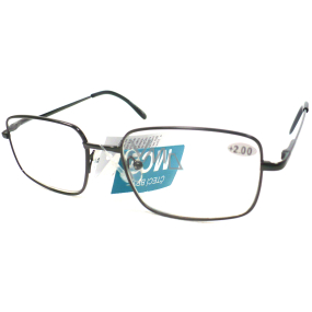 Berkeley Eyeglasses +3,0 black metal MC2 1 piece ER5050