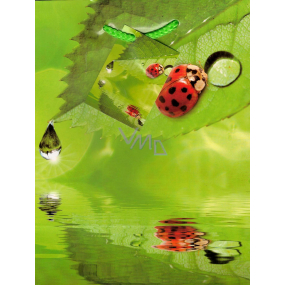 Nekupto Gift paper bag 23 x 18 x 10 cm Ladybug 1 piece 828 50 BM