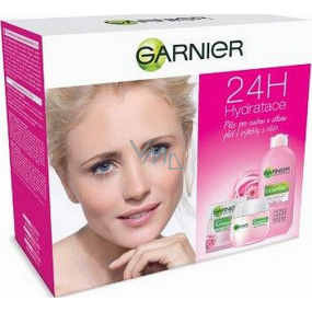 Garnier Essentials Rose moisturizing day cream for dry and sensitive skin 50 ml + make-up remover milk for dry skin 200 ml, cosmetic set