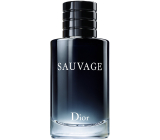 Christian Dior Sauvage Eau de Toilette for Men 100 ml