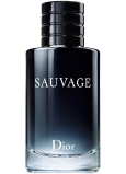 Christian Dior Sauvage Eau de Toilette for Men 100 ml