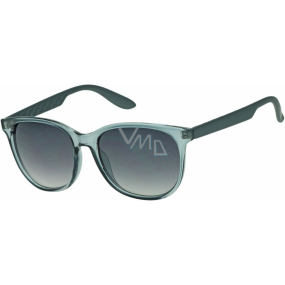 Fx Line Sunglasses gray A40228