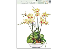 Window foil without glue orchid yellow-white 42 x 30 cm
