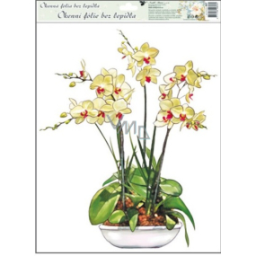 Window foil without glue orchid yellow-white 42 x 30 cm