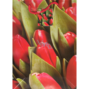 Nekupto Gift paper bag 32.5 x 26 x 13 cm Red tulips