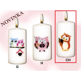 Lima Owls Wise owl with book candle with decal white cylinder 50 x 100 mm 1 piece