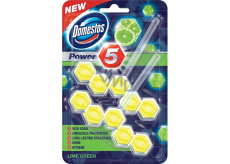 Domestos Power 5 Lime Wc solid block 2 x 55 g