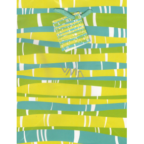 Nekupto Gift paper bag 23 x 18 x 10 cm Green-blue-yellow 1 piece 1153 50 KFM