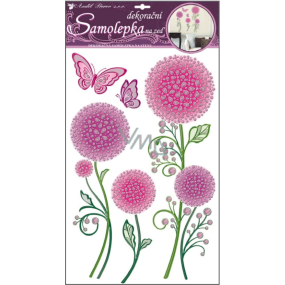 Colorful dandelion wall stickers with contour 50 x 32 cm