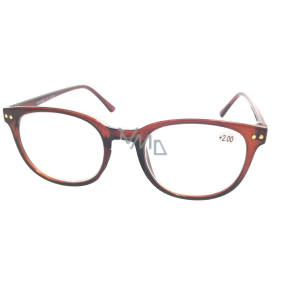 Berkeley Reading glasses +2 brown 1 piece MC2 ER4048