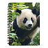 Prime3D notebook A5 - Panda 14.8 x 21 cm