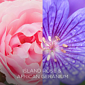 Air Wick Botanica Exotic Rose and African Geranium Scented Candle Glass, Burn Time up to 40 Hours 205 g