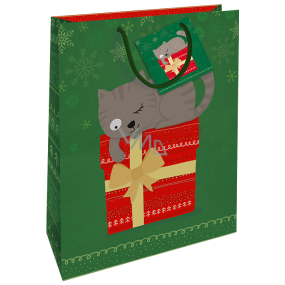 Nekupto Gift paper bag 32.5 x 26 x 13 cm Christmas green with cat WBL 1954 50
