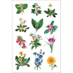 Ovo Flower decals several kinds of 12 motives 1 miniature sheet