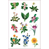 Ovo Flower decals several kinds of 12 motives 1 miniature sheet