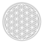 Masaru Emoto Shinno flower Flower of Life mug with a silver symbol of 0.3 l
