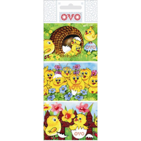 Ovo Egg foil Chickens 1 package = 9 pictures (shrinking shirt)