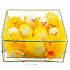 Plush chickens 8 pieces of 4 cm and 3 eggs of 3.5 cm