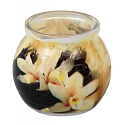 Admit Vanilla decorative aromatic candle in glass 80 g