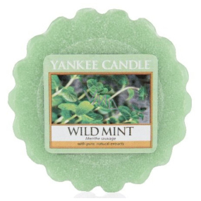 Yankee Candle Wild Mint - Wild mint fragrant wax for aroma lamp 22 g